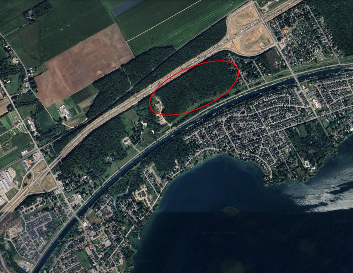 Vue aérienne de la forêt le long de la route 338